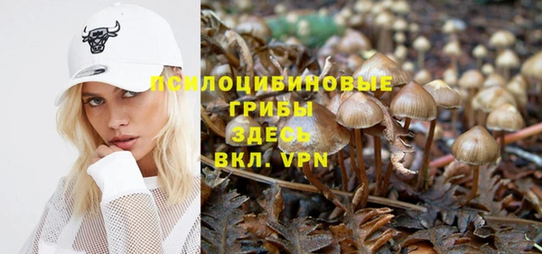 прущая мука Белоозёрский