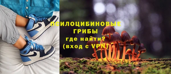 spice Белокуриха