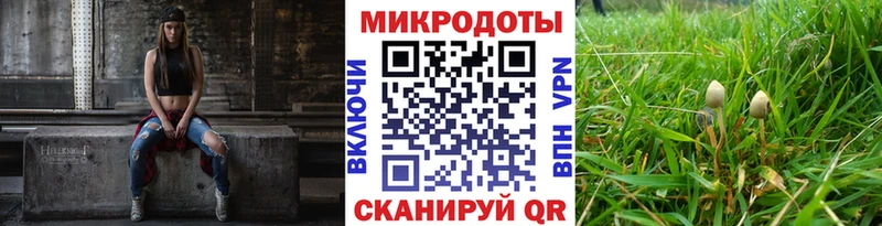 Псилоцибиновые грибы Psilocybe  купить   Кораблино 